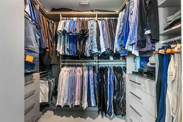 spacious closet with carpet