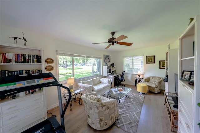 living room with light hardwood / wood-style floors and ceiling fan