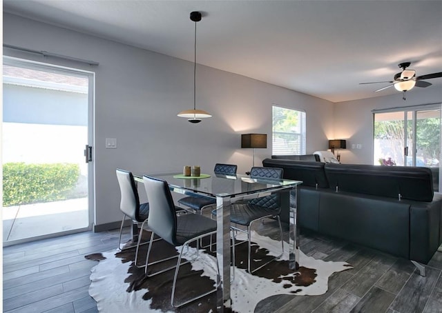 dining area featuring a healthy amount of sunlight, dark hardwood / wood-style flooring, and ceiling fan