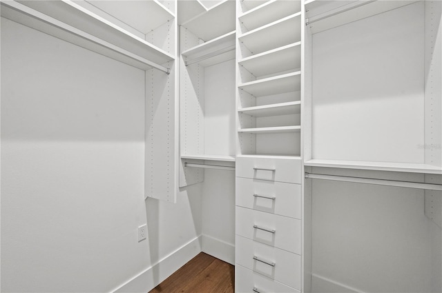 walk in closet with dark hardwood / wood-style floors