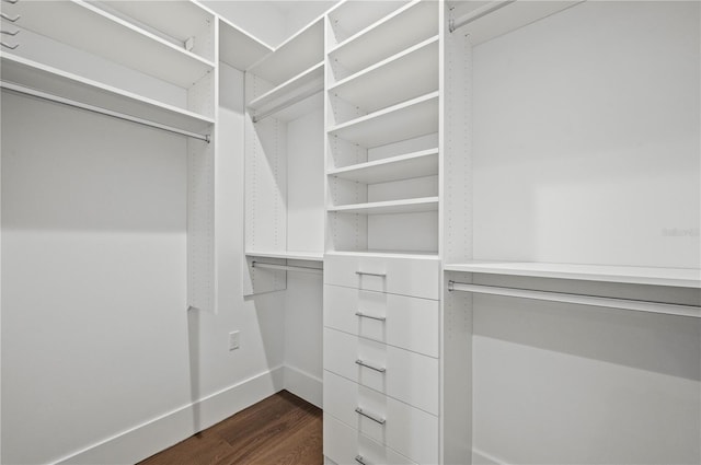 walk in closet with dark wood-type flooring