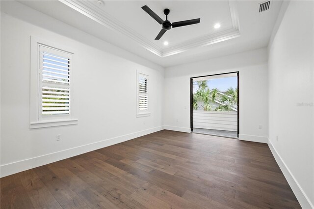 spare room featuring dark hardwood / wood-style flooring, a raised ceiling, and plenty of natural light