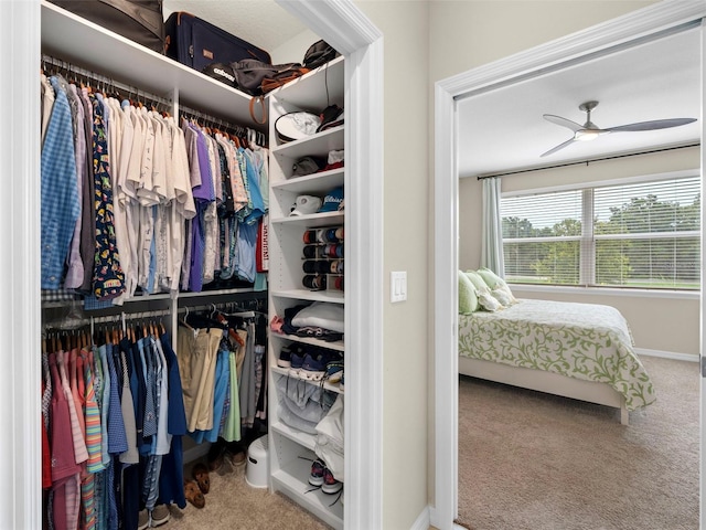 walk in closet featuring carpet flooring and ceiling fan