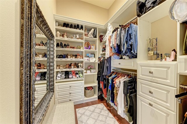 walk in closet with hardwood / wood-style floors