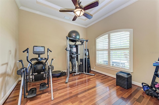 exercise area with ceiling fan, hardwood / wood-style flooring, and crown molding