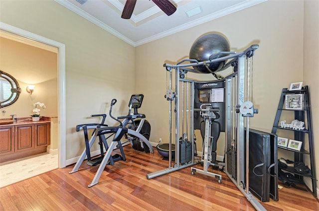 exercise room featuring ceiling fan, light wood-type flooring, and crown molding