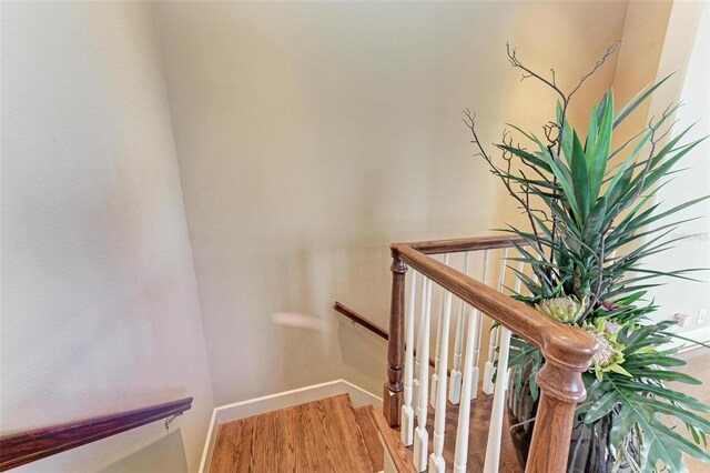 stairway featuring wood-type flooring