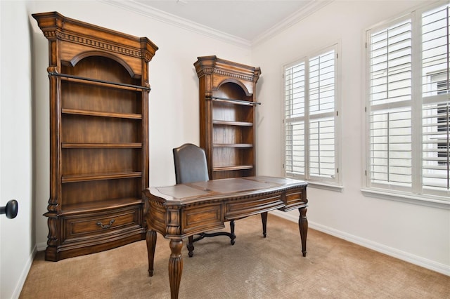 carpeted office featuring crown molding