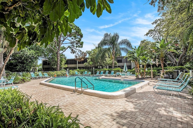 view of swimming pool featuring a patio