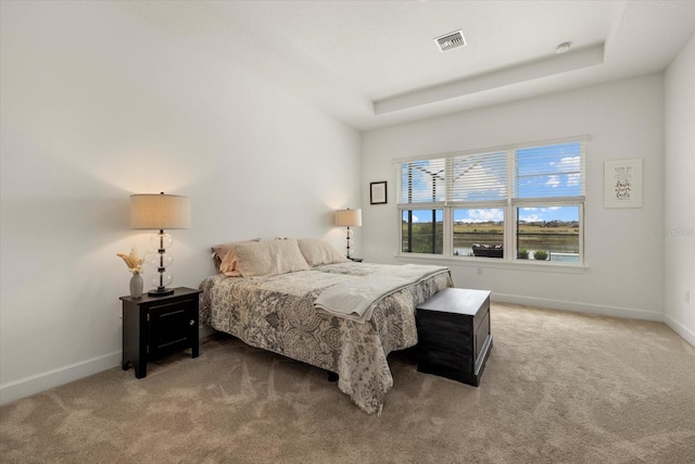 carpeted bedroom with a tray ceiling