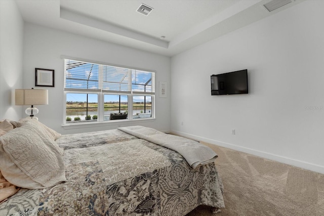 carpeted bedroom featuring a tray ceiling