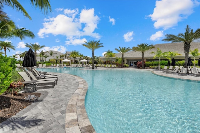 view of swimming pool featuring a patio area