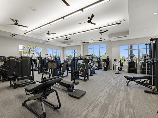 gym with a healthy amount of sunlight and light colored carpet