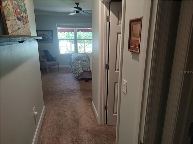 hall with ornamental molding and carpet floors