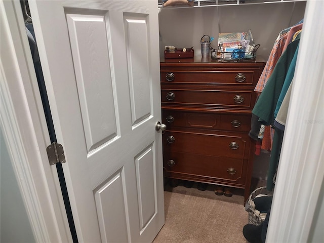 spacious closet with light carpet