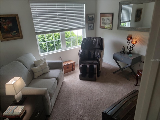 living room featuring carpet flooring