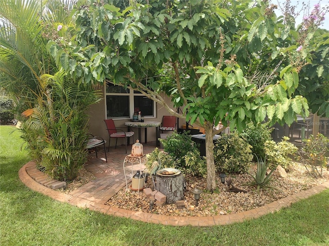 view of yard featuring a patio area