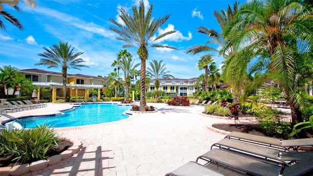 view of pool featuring a pergola and a patio