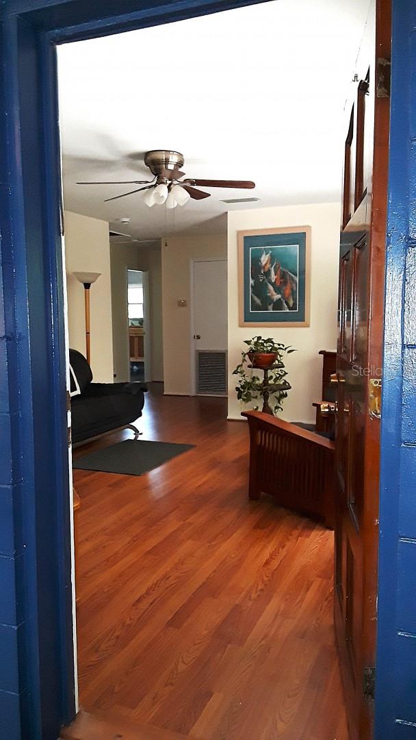 living room with ceiling fan and wood-type flooring