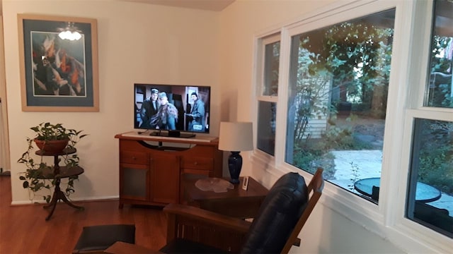 interior space featuring hardwood / wood-style flooring and a healthy amount of sunlight