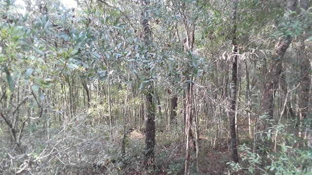 view of landscape with a view of trees