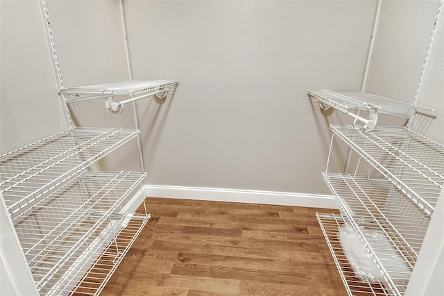 spacious closet with wood-type flooring