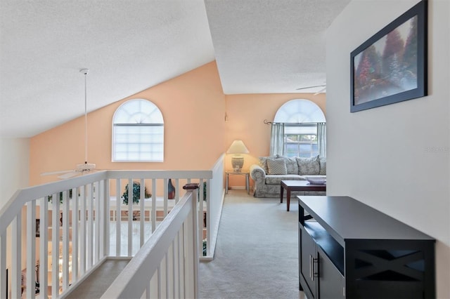 hallway featuring high vaulted ceiling, carpet, and a textured ceiling