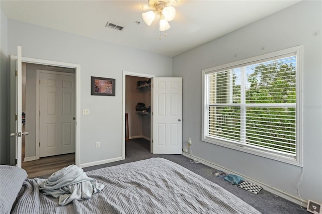 bedroom featuring dark colored carpet, a walk in closet, a closet, and ceiling fan