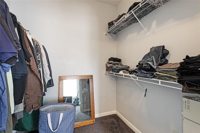 spacious closet with carpet flooring