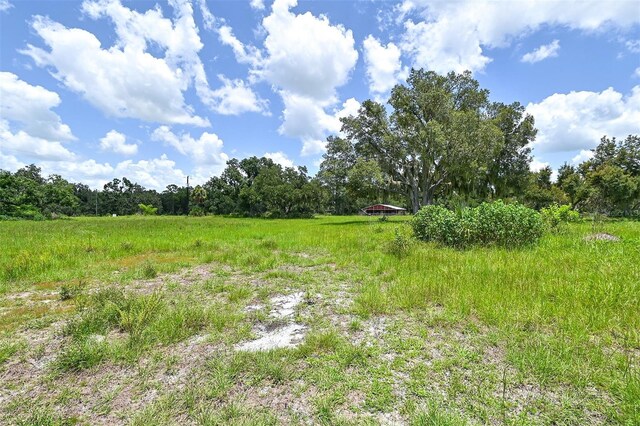 15655 Sugar Bowl Rd, Myakka City, FL 34251 - photo 37