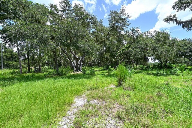 15655 Sugar Bowl Rd, Myakka City, FL 34251 - photo 44
