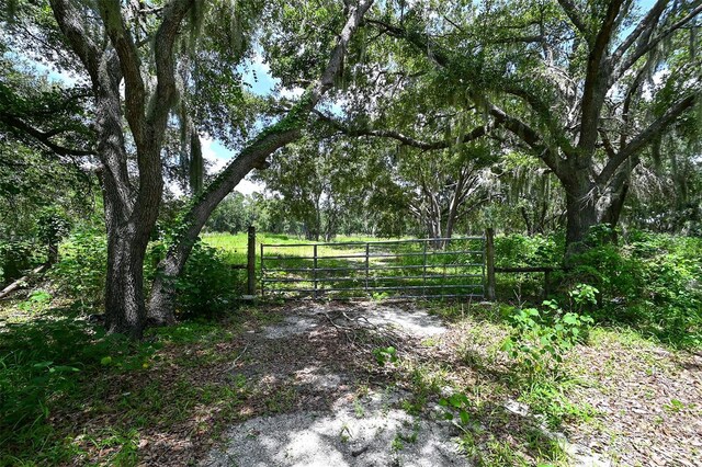 15655 Sugar Bowl Rd, Myakka City, FL 34251 - photo 47