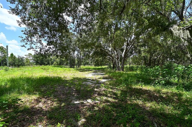 15655 Sugar Bowl Rd, Myakka City, FL 34251 - photo 49