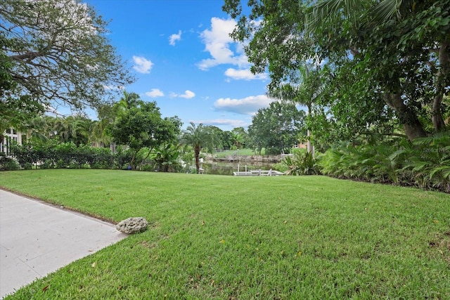 view of yard