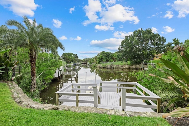 dock area with a water view