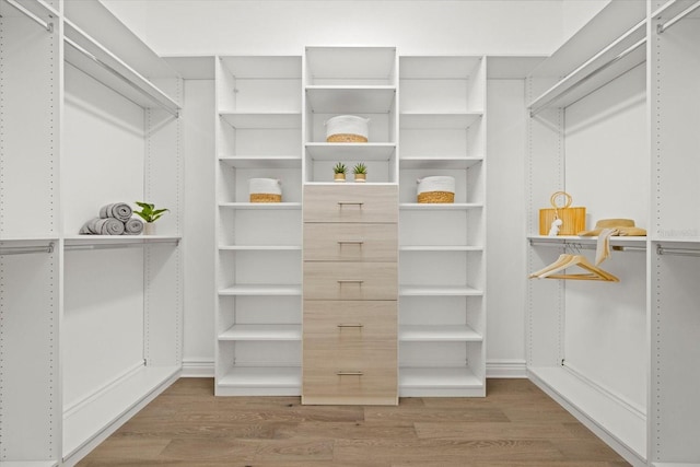 walk in closet with hardwood / wood-style flooring