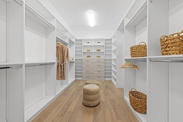 walk in closet with light wood-style flooring