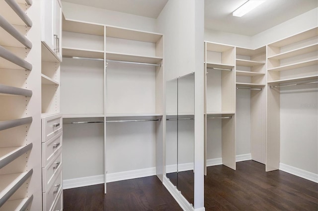 walk in closet featuring dark hardwood / wood-style flooring