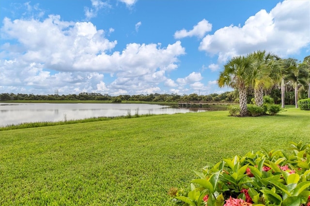 view of yard featuring a water view