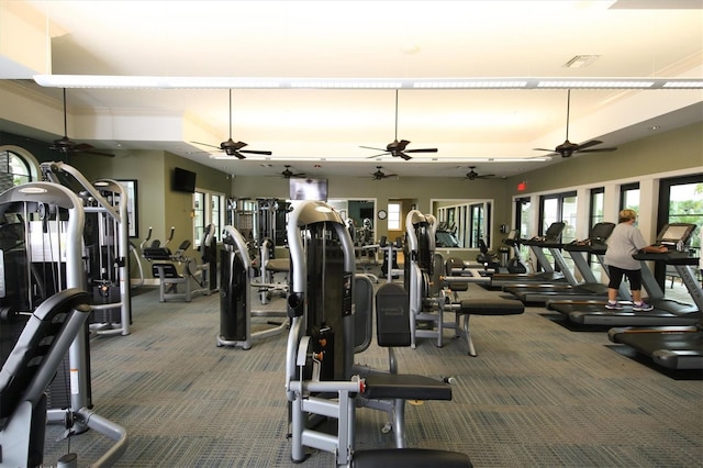 gym featuring carpet