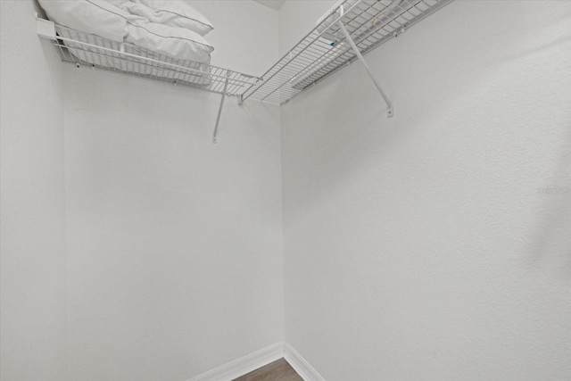 walk in closet with wood finished floors