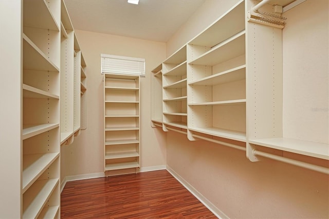 walk in closet featuring dark hardwood / wood-style floors