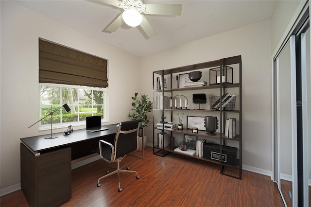 office featuring ceiling fan and dark wood-type flooring