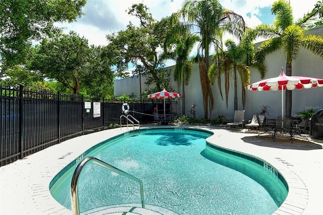 view of swimming pool featuring a patio