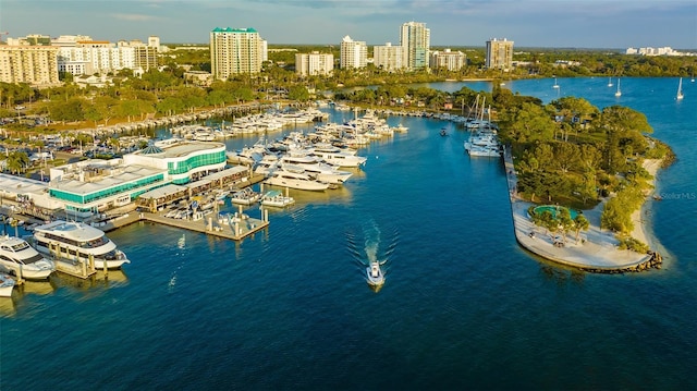 birds eye view of property with a water view