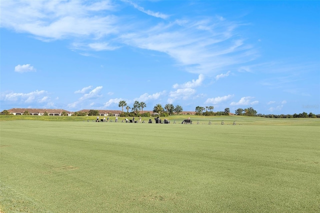 view of community with a lawn