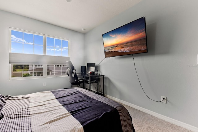 bedroom featuring multiple windows and carpet flooring