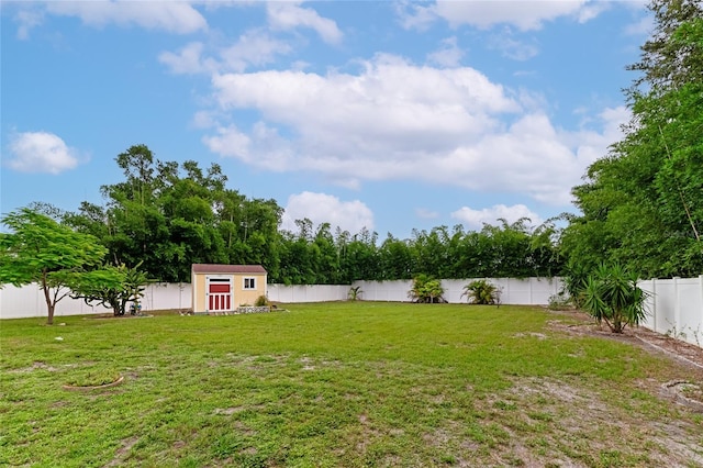 view of yard with a storage unit