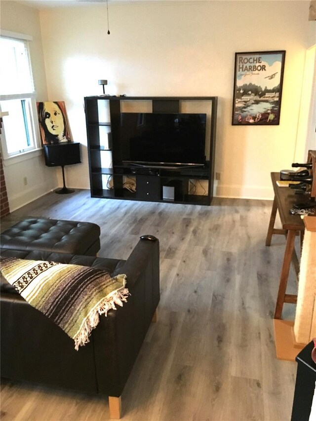 living room featuring wood-type flooring