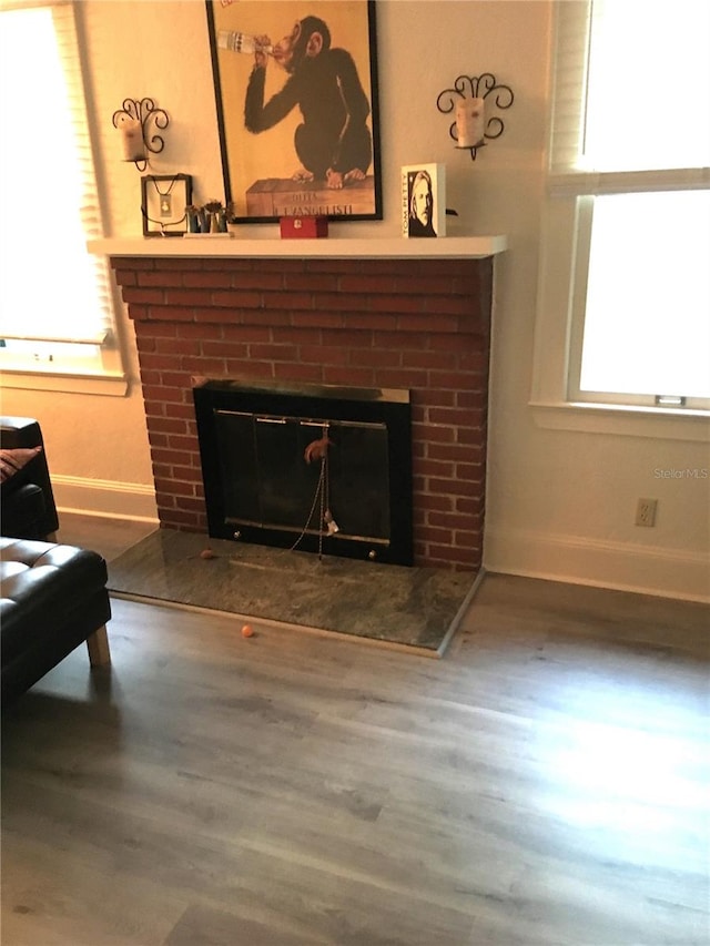 details with a fireplace and wood-type flooring